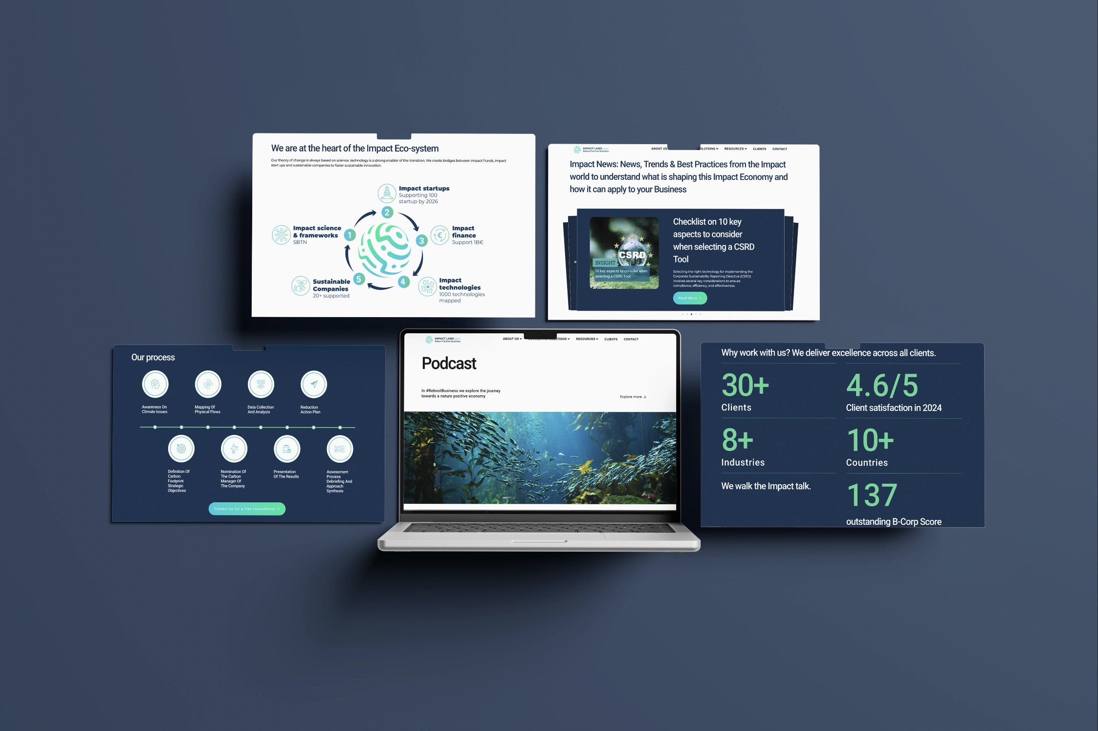https://ekka.agency/wp-content/uploads/2025/09/ekka-webdesign-ImpactLab-website-consulting-environment-2.webp